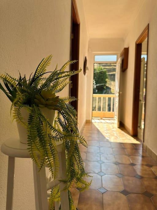 Casa De Sergude Peso da Régua Eksteriør bilde