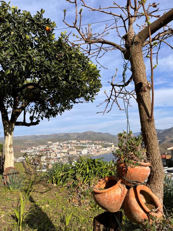 Casa De Sergude Peso da Régua Eksteriør bilde